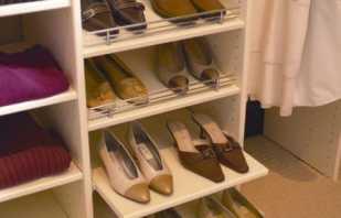 Comprend des étagères pour chaussures pour l'armoire, comment choisir