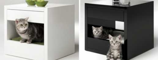 Options de meubles pour chats, conseils utiles pour choisir