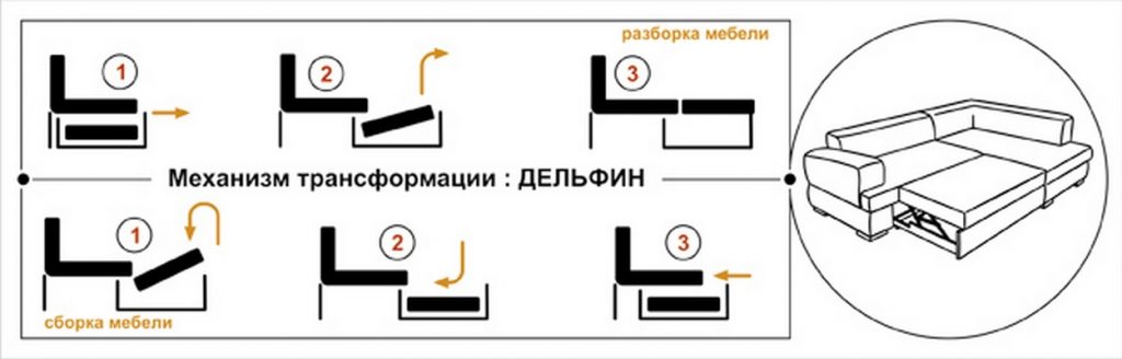 Diagramme du mécanisme de transformation des dauphins